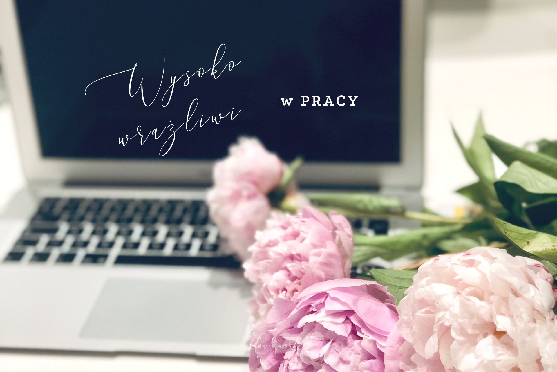 WRAŻLIWI 062019-6